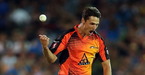 Nathan Coulter Nile Adelaide Strikers v Perth Scorchers