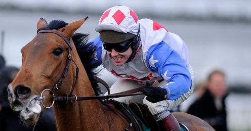 Reve De Sivola Cheltenham