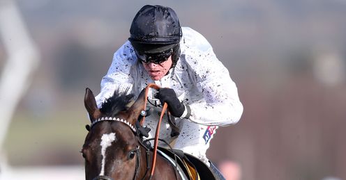Rolling Star Cheltenham