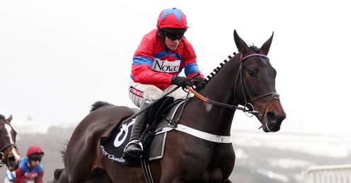Sprinter Sacre Cheltenham