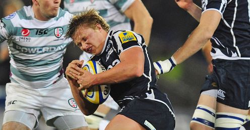Sale Sharks Tommy Taylor Sale Sharks Tommy Taylor
