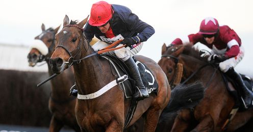 Ed fancies Bobs Worth to land the Gold Cup