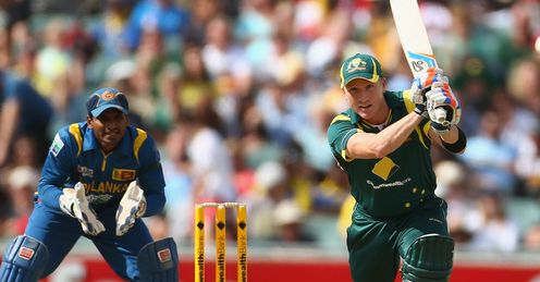 brad haddin