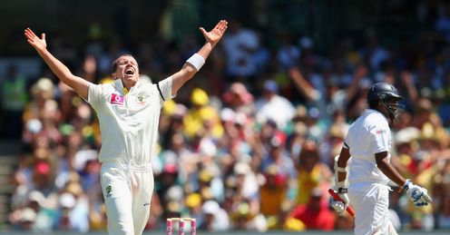 peter siddle