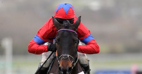 Sprinter Sacre: needs a rival to capture the imagination, says Ed