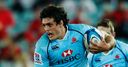 Wallabies release four players