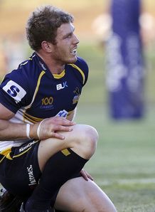 david pocock brumbies david pocock brumbies