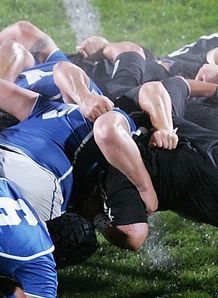 scrum samoa maori scrum samoa maori