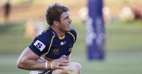 david pocock brumbies david pocock brumbies