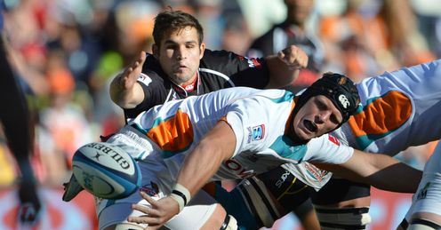 Philip van der Walt Sharks Philip van der Walt Sharks