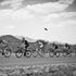Scott Mitchell Stage Four Gallery