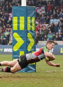 tom williams harlequins bath
