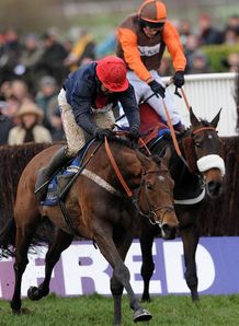 Bobs so brave to win Gold Cup