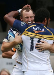 brumbies