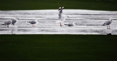 Yorkshire Bank 40: Holland and Northants frustrated by raun