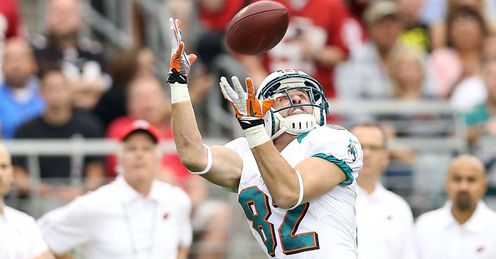 Miami Dolphins: back in action soon...