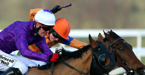 Grecian Tiger Leopardstown