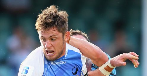Hugh McMeniman for Western Force Hugh McMeniman for Western Force