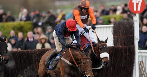 bobs worth cheltenham 2013