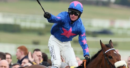cue card cheltenham