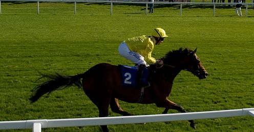 Farraaj will have Andrea Atzeni on board in the Winter Derby
