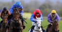 Hurricane Fly rules supreme