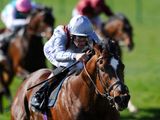 Toronado (IRE)