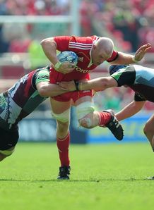 paul oconnell munster harlequins paul oconnell munster harlequins