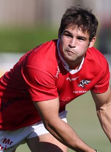 Cobus Reinach Sharks 2012 Cobus Reinach Sharks 2012