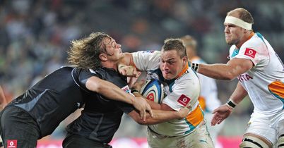 Cheetahs stay in the hunt