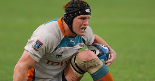 Cheetahs number eight Philip van der Walt Cheetahs number eight Philip van der Walt