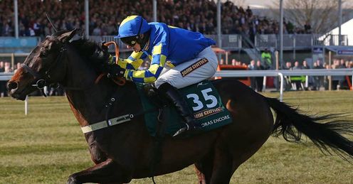 Auroras Encore: has been raised 11lbs by the handicapper after his Aintree triumph