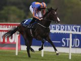 Battle Of Marengo (IRE)
