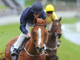 Ruler Of The World (IRE)