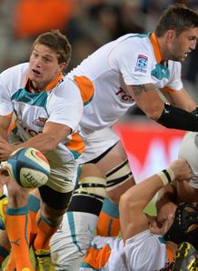 piet van zyl cheetahs piet van zyl cheetahs