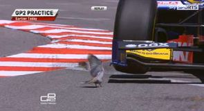 Hot bird in GP2