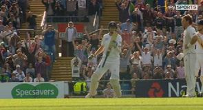 Player of the Day - Root
