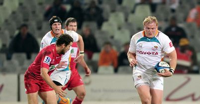 Strauss hails Cheetahs defence