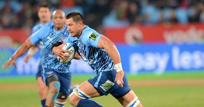 Bulls on course for home semi-final