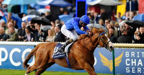 Dawn Approach: favourite for the Derby