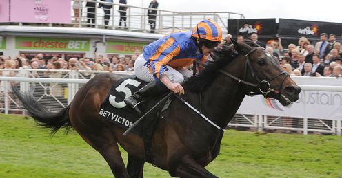 Magician: showed an impressive turn of foot at Chester, says Alex
