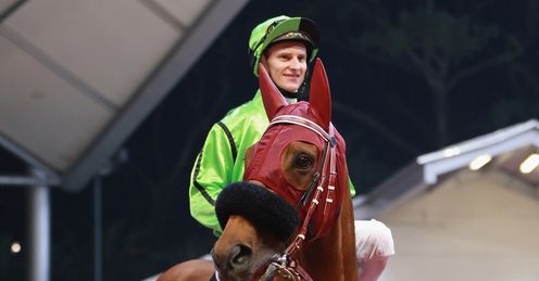 Look out for Military attack in the Dubai World Cup
