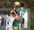 Rugby Union Competitions