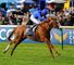 Dawn Approach is a star in the Derby field, says Ed Chamberlin