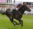 Alex Hammond tips Magician for Irish 2000 Guineas
