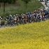 Bayern Rundfahrt stage one gallery