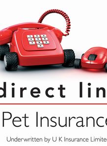 Direct Line Pet Step Competition