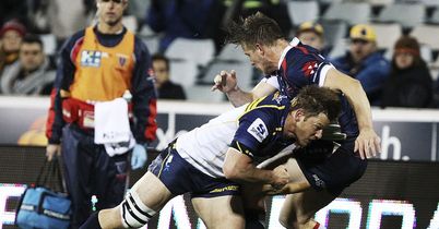 Brumbies cruise past Rebels