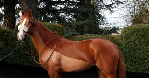 On Demand: looking good for her debut