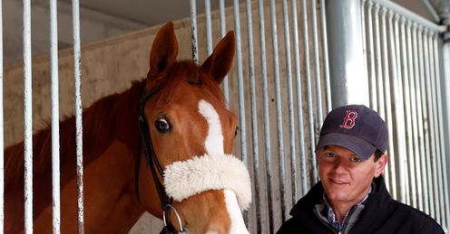 On Demand, or Mandy as she's known around Park House Stables with Andrew.